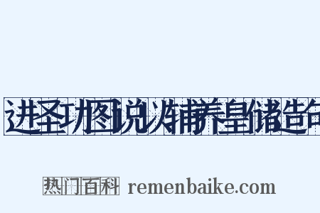进圣功图说以辅养皇储造句是什么意思的图片